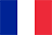 french flag.